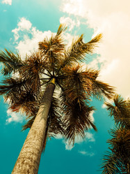 Similar image 13242860