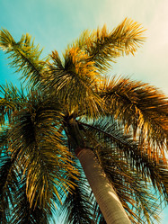 Similar image 13242861