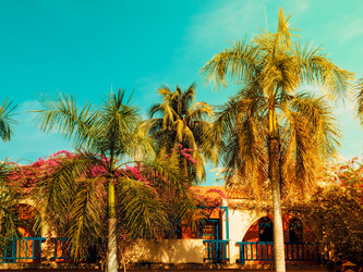 Similar image 13242862