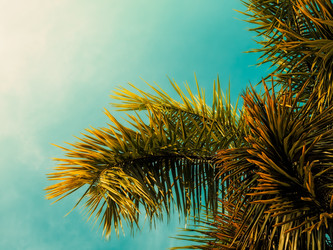 Similar image 13242854