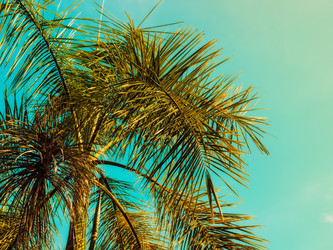 Similar image 13242857