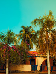 Similar image 13242859