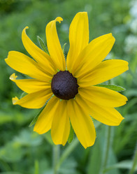 Similar image 13244366