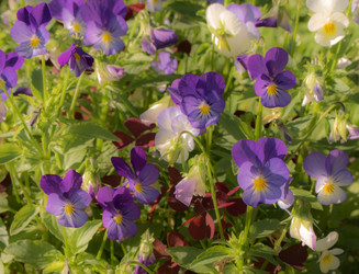 Similar image 13260770