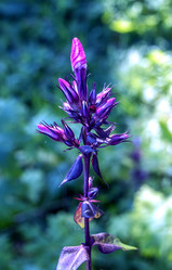 Similar image 13244368