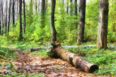 Similar image 13260771