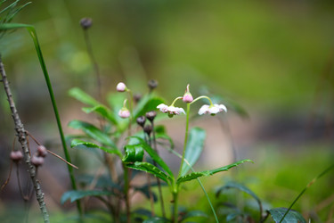 Similar image 13271253