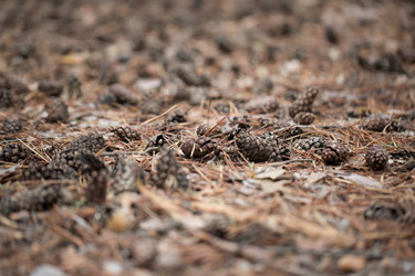 Similar image 13271254