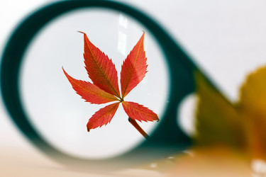 Similar image 13244757