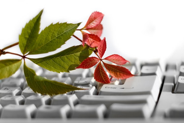 Similar image 13244865