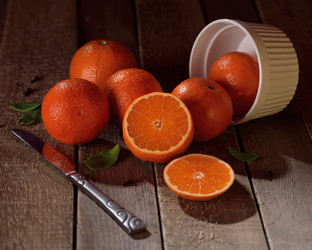 Similar image 13247135