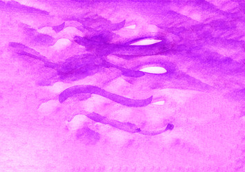 Similar image 13242864