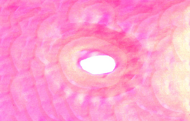 Similar image 13242867