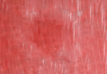 Similar image 13242871