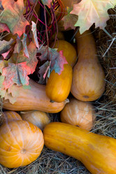 Similar image 13245729