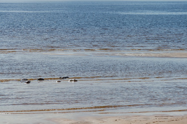 Similar image 13243085