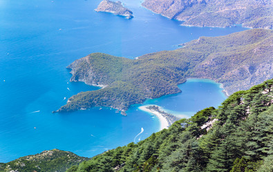 Similar image 13251301