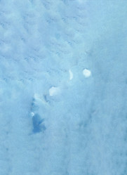 Similar image 13242908