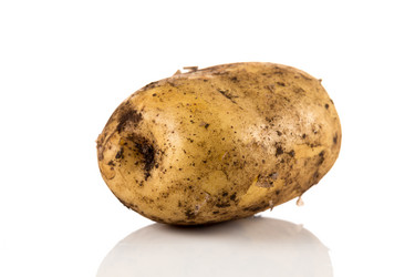 Similar image 13249157