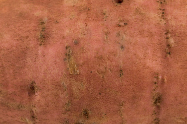 Similar image 13249145