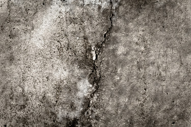 Similar image 13249190