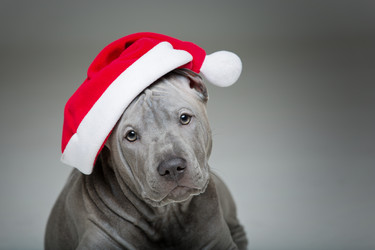 Similar image 13249282