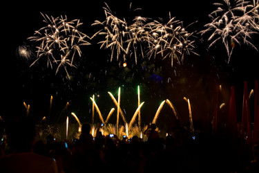 Similar image 13245899