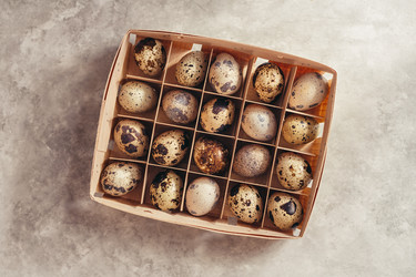 Similar image 13245914