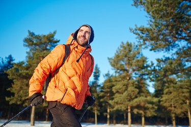 Similar image 13243935