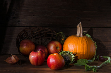 Similar image 13242766