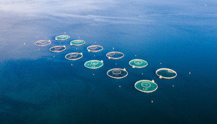 Similar image 13246642