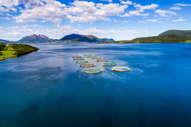 Similar image 13246644