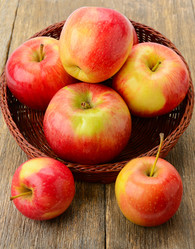 Similar image 13244393