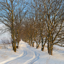 Similar image 13244397