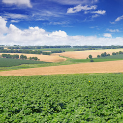 Similar image 13244408