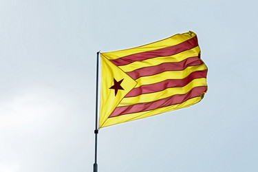 Similar image 13242785