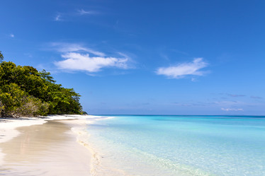 Similar image 13255121