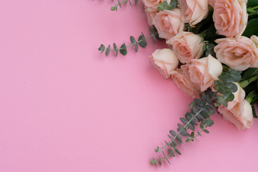 Similar image 13247982