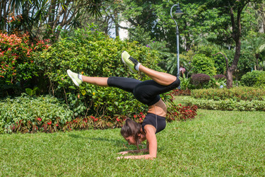 Similar image 13247263