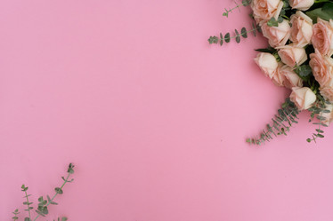 Similar image 13248004