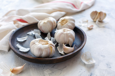 Similar image 13244007