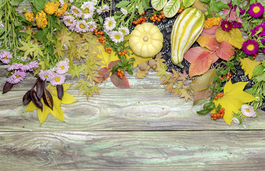 Similar image 13276986