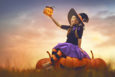 Similar image 13242955