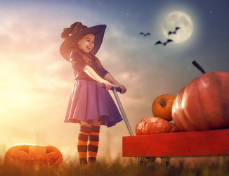 Similar image 13242946