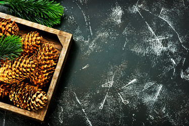 Similar image 13244215