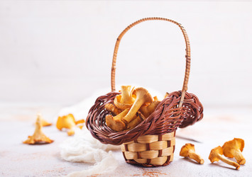 Similar image 13244239