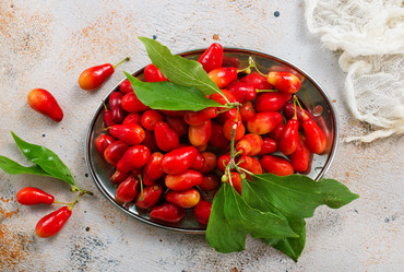 Similar image 13244294