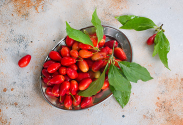 Similar image 13244261