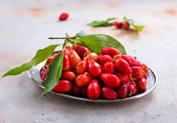 Similar image 13244272