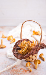 Similar image 13244339